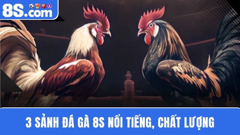 top 3 sảnh chơi Đá gà 8S