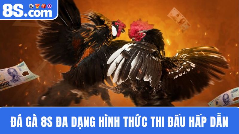 hình thức Đá gà 8S