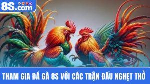 Đá gà 8S