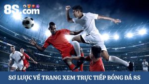 trực tiếp bóng đá 8S