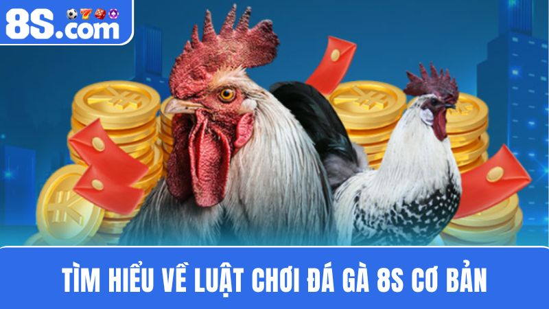 Nắm rõ luật chơi Đá gà 8S
